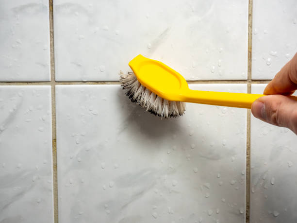 Best Residential Mold Remediation in Thermalito, CA