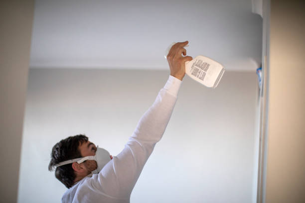 Best Mold Testing and Inspection Services in Thermalito, CA